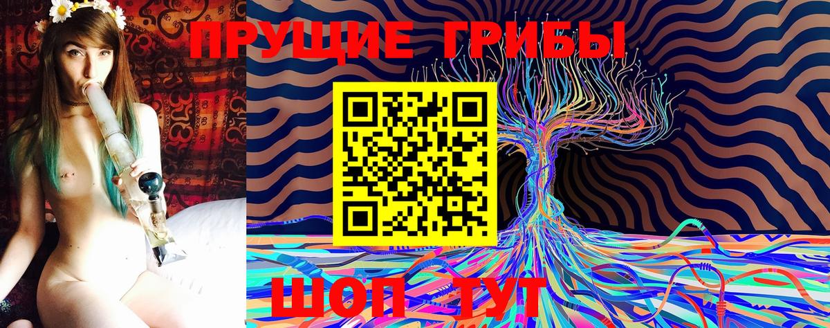 Галлюциногенные грибы Psilocybine cubensis  Вход с VPN  Заволжье 