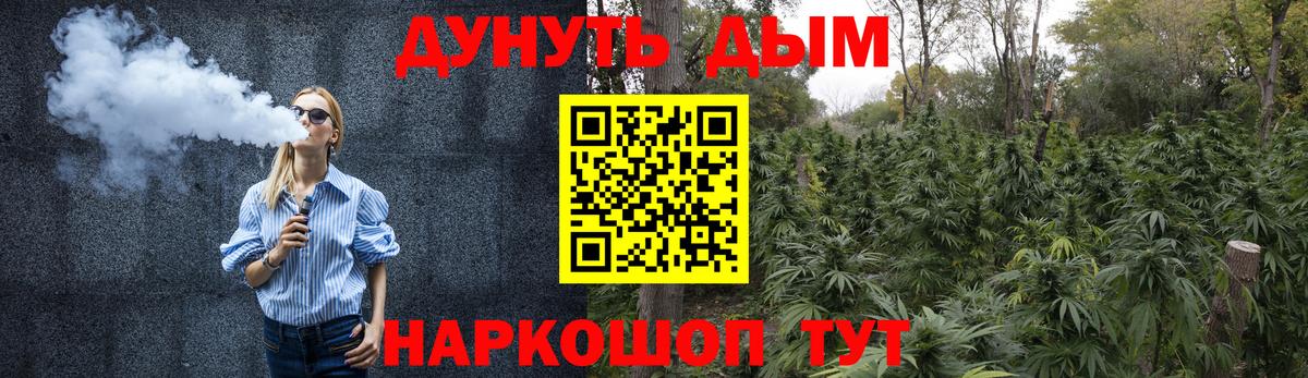 Канабис сатива Заволжье